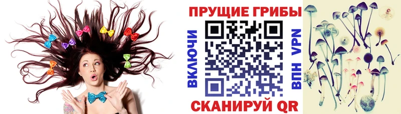 Галлюциногенные грибы MAGIC MUSHROOMS Асбест